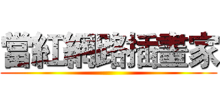 當紅網路插畫家 ()