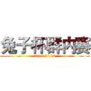 兔子杯群内赛 (2014.01.10)