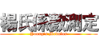 楊氏係數測定 (Young's Modulus)