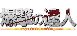 爆撃の達人 (expert of bombing)