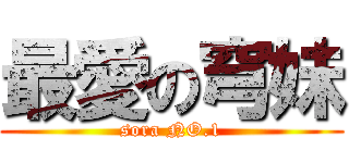 最愛の穹妹 (sora NO.1)