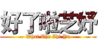 好了啦芝妤 (What The Zhi Yu)
