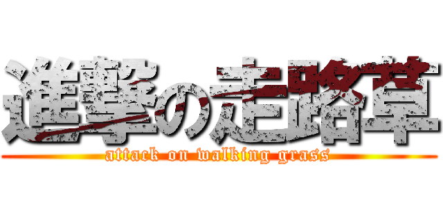 進撃の走路草 (attack on walking grass)