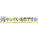 何やっているのですか ()