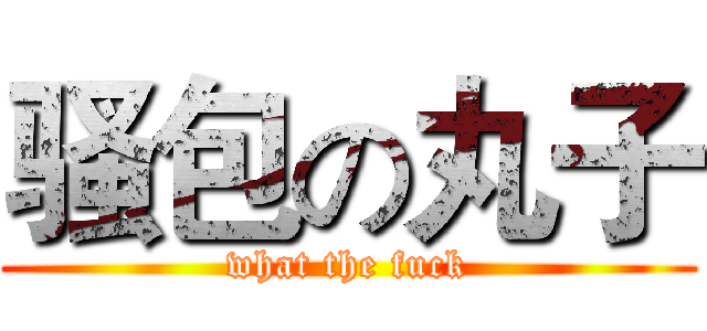 骚包の丸子 (what the fuck)
