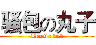骚包の丸子 (what the fuck)