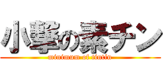 小撃の素チン (minimum of tintin)