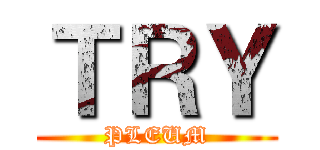 ＴＲＹ (PLEUM)