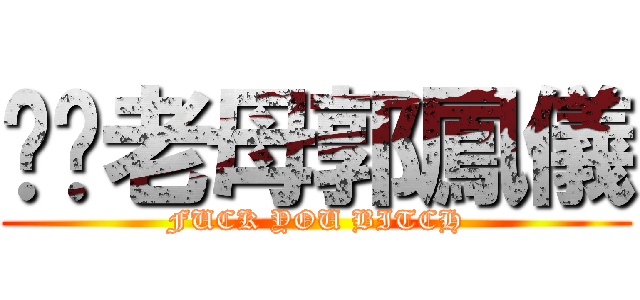 屌你老母郭鳳儀 (FUCK YOU BITCH)