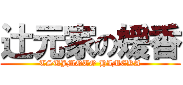 辻元家の媛香 (TSUJMOTO HIMEKA)