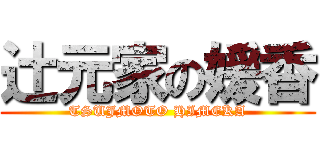 辻元家の媛香 (TSUJMOTO HIMEKA)