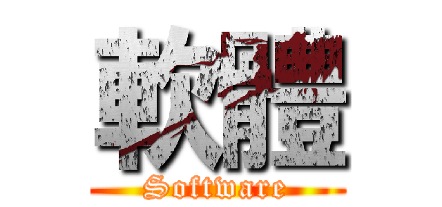 軟體 (Software)