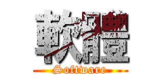 軟體 (Software)