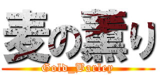 麦の薫り (Gold_Barley)