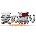 麦の薫り (Gold_Barley)