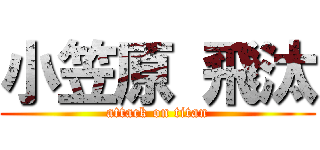 小笠原 飛汰 (attack on titan)