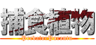 捕食植物 (PredatorPurantu)