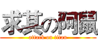 求其の阿鼠 (attack on titan)