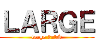 ＬＡＲＧＥ (large 2ndG)