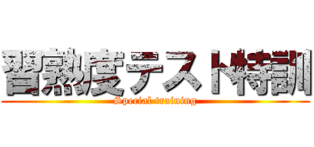 習熟度テスト特訓 (Special training)