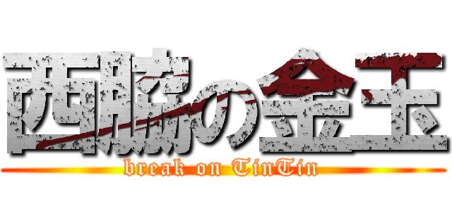 西脇の金玉 (break on TinTin)