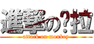 進撃の维拉 (attack on monkey)