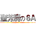聖芳濟の６Ａ (SFXC 6A)