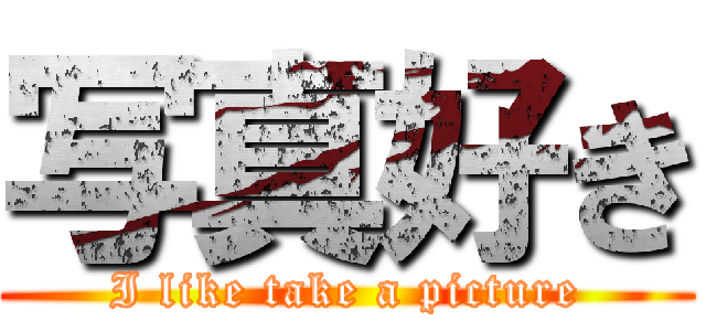写真好き (I like take a picture)