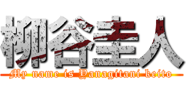 柳谷圭人 (My name is Yanagitani keito)