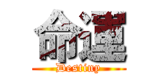 命運 (Destiny)