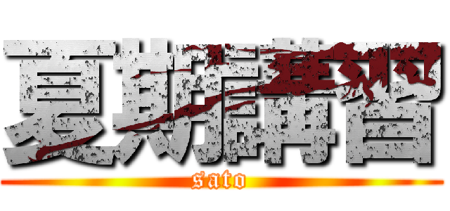 夏期講習 (sato)