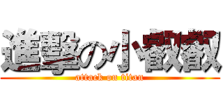 進擊の小叡叡 (attack on titan)