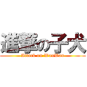 進撃の子犬 (Attack on WanWan)