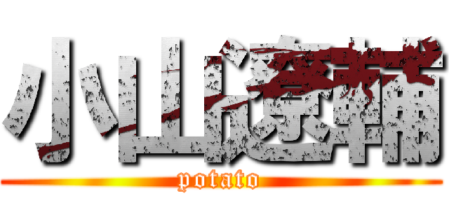 小山遼輔 (potato)