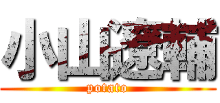 小山遼輔 (potato)