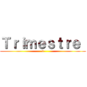 Ｔｒｉｍｅｓｔｒｅ  (3)