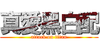 真愛黑白配 (attack on titan)