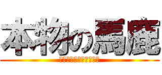 本物の馬鹿 (標準語しゃべれません。)