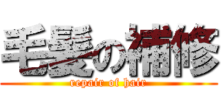 毛髪の補修 (repair of hair)