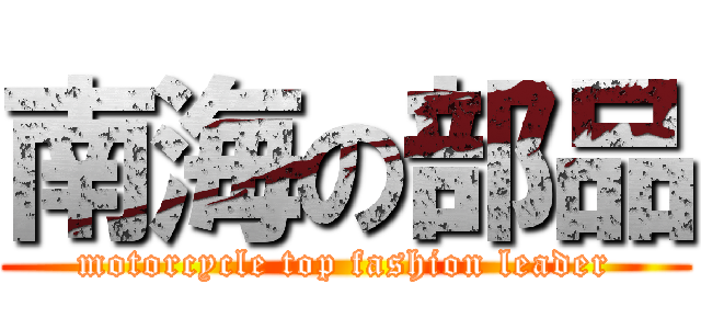 南海の部品 (motorcycle top fashion leader)
