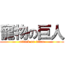 寵物の巨人 (attack on titan)