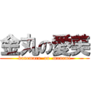 金丸の愛美 (kanemaru  on  manami)