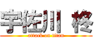 宇佐川 柊 (attack on titan)