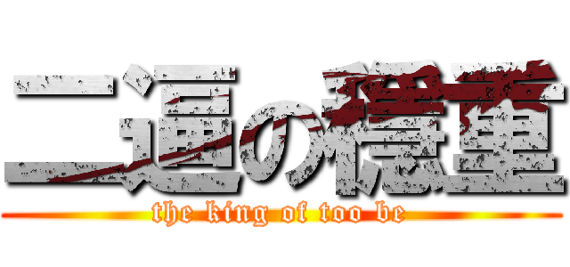 二逼の穩重 (the king of too be)