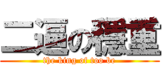 二逼の穩重 (the king of too be)