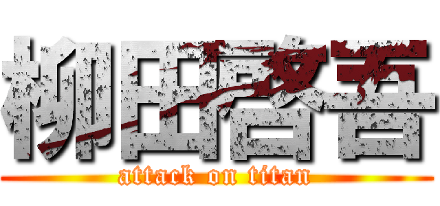 柳田啓吾 (attack on titan)