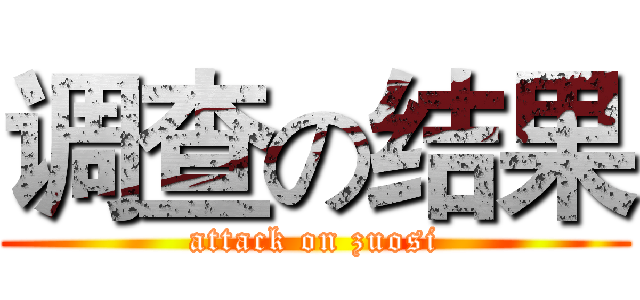 调查の结果 (attack on zuosi)