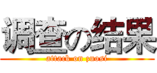 调查の结果 (attack on zuosi)