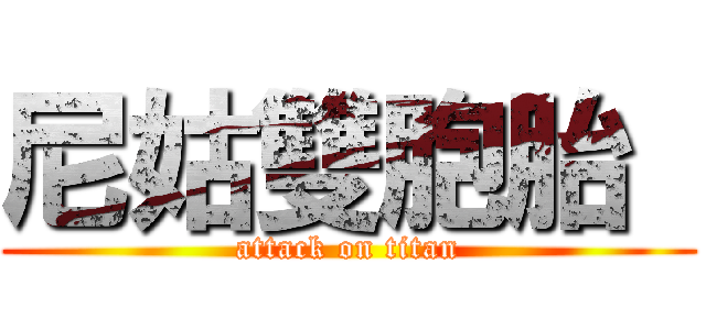 尼姑雙胞胎  (attack on titan)