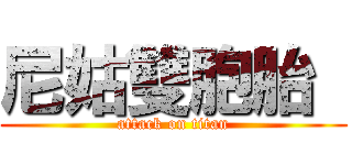 尼姑雙胞胎  (attack on titan)